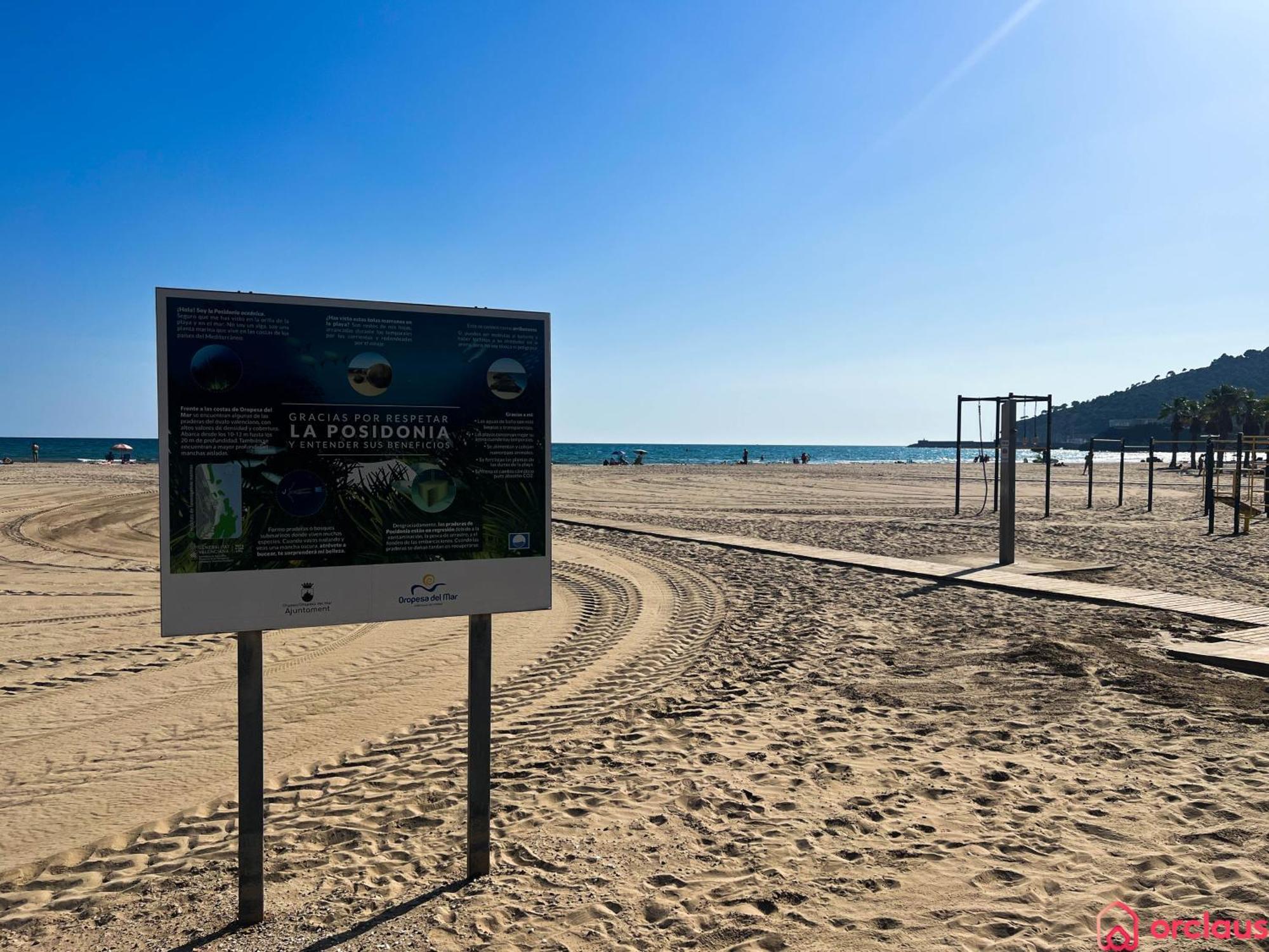 El Paraiso En Playa Concha Oropesa del Mar Eksteriør billede